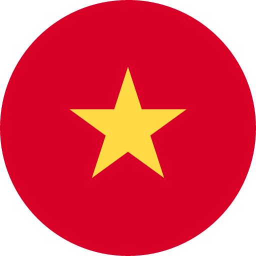 Image of https://azasend.com/flags/vnd.png
